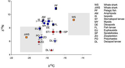 Stable Isotope Analysis of Dermis and the Foraging Behavior of Whale Sharks at Ningaloo Reef, Western Australia